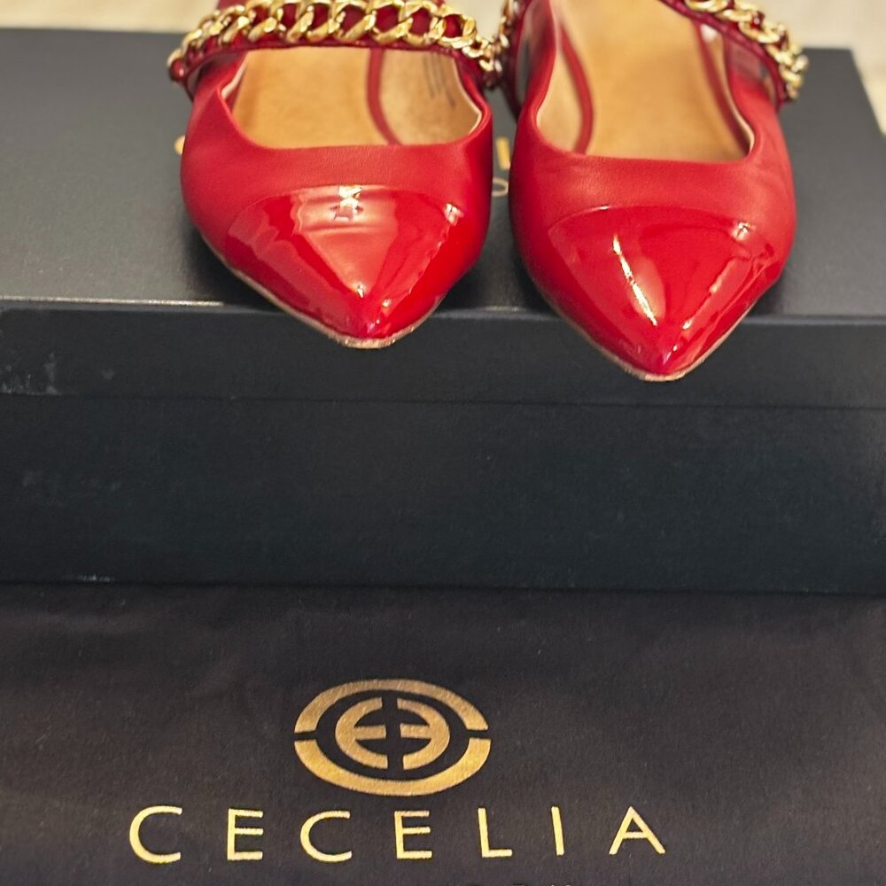 Simply Fancy Slides - image 1